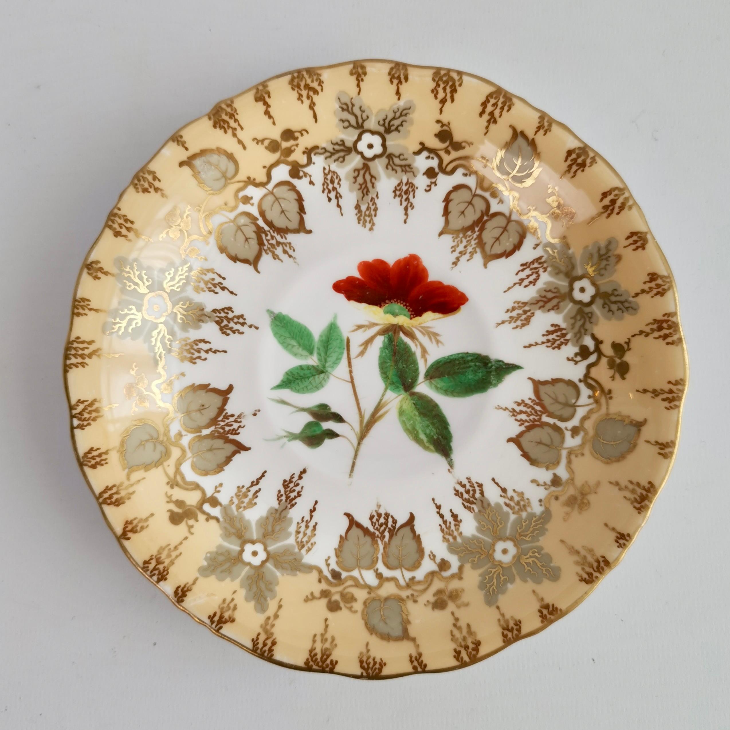 Peint à la main Trio de tasses à thé Samuel Alcock, beige avec fleurs peintes à la main, néo-rococo 1841 en vente