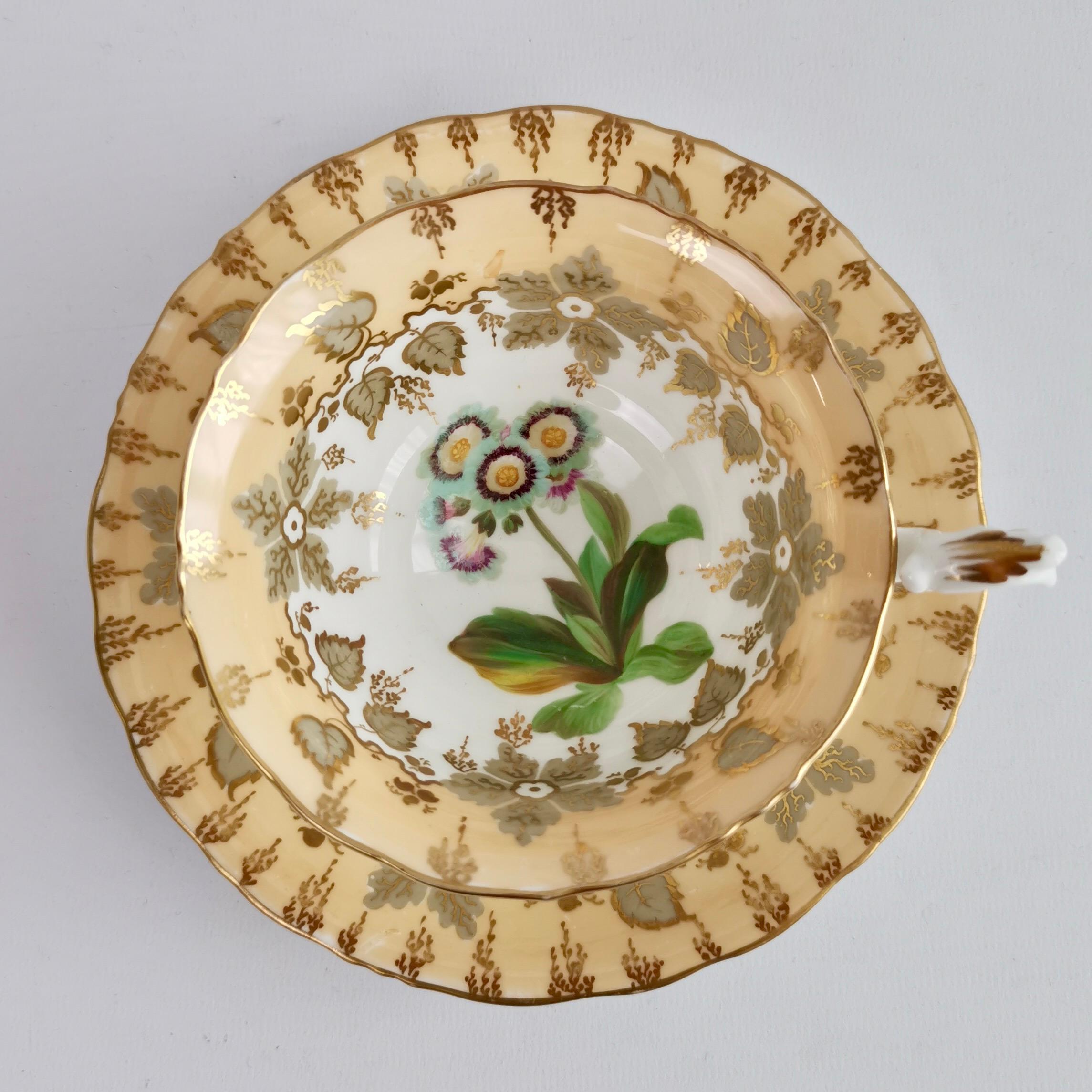 Trio de tasses à thé Samuel Alcock, beige avec fleurs peintes à la main, néo-rococo 1841 Bon état - En vente à London, GB