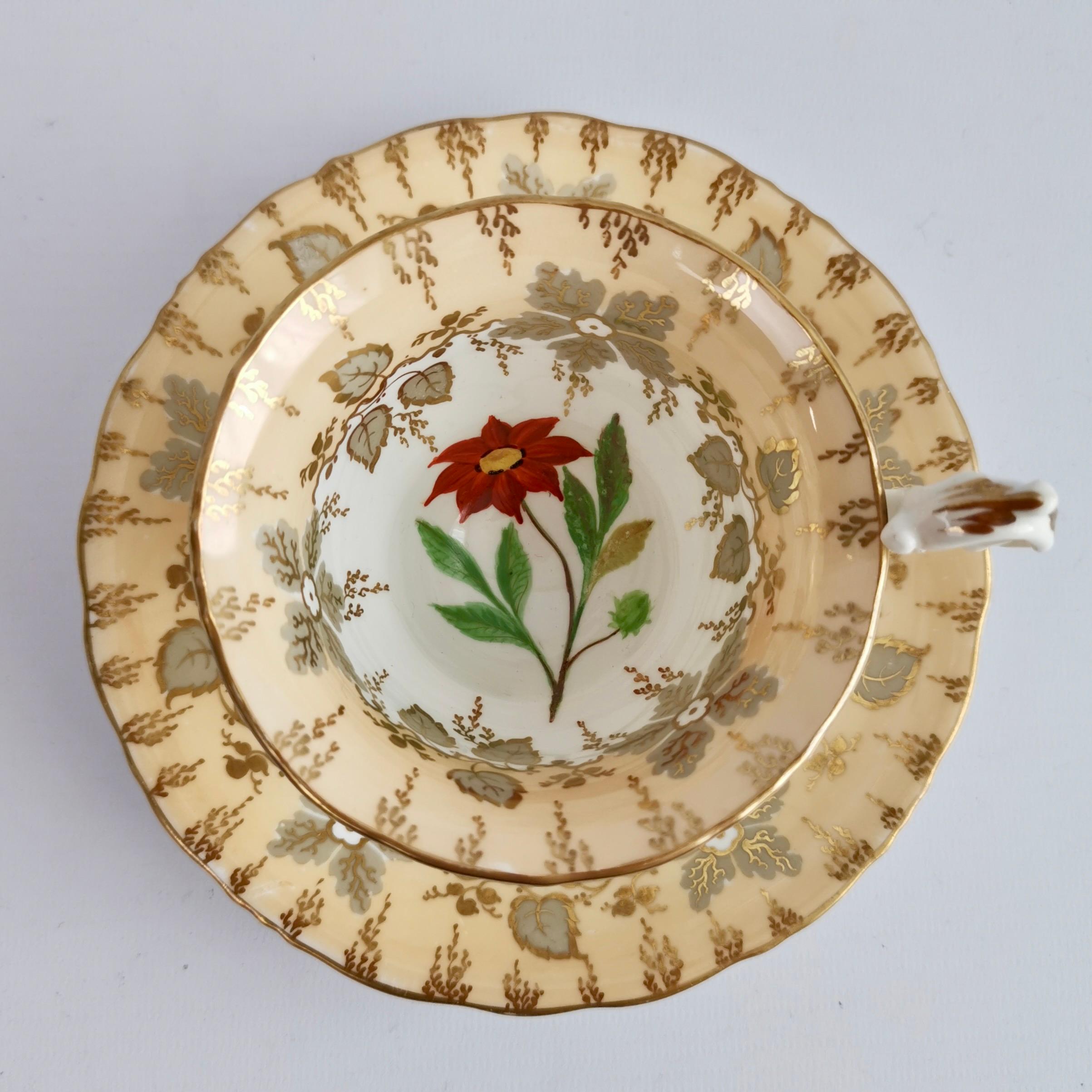 Mid-19th Century Samuel Alcock Teacup Trio, Beige with Hand Painted Flowers, Rococo Revival 1841 For Sale