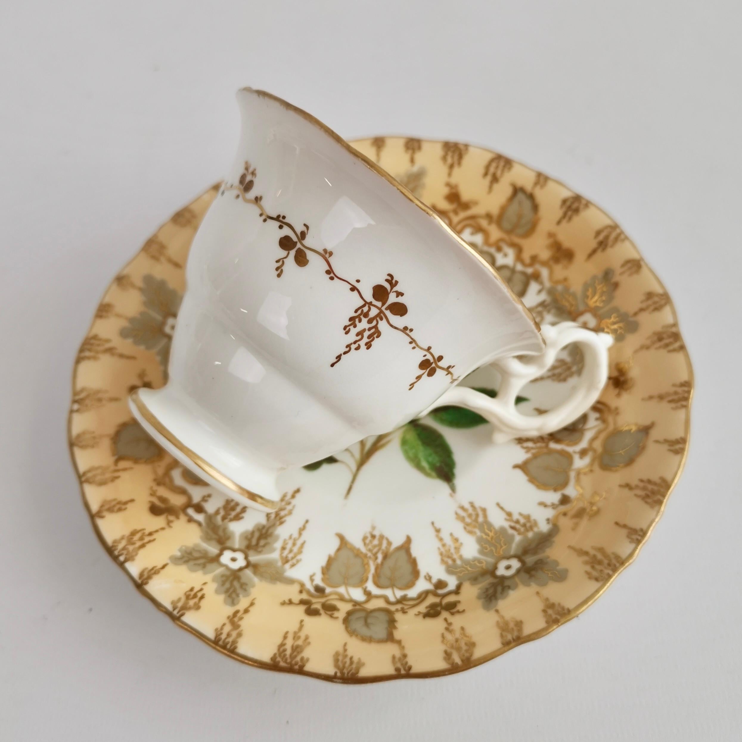 Samuel Alcock Teacup Trio, Beige with Hand Painted Flowers, Rococo Revival 1841 For Sale 1