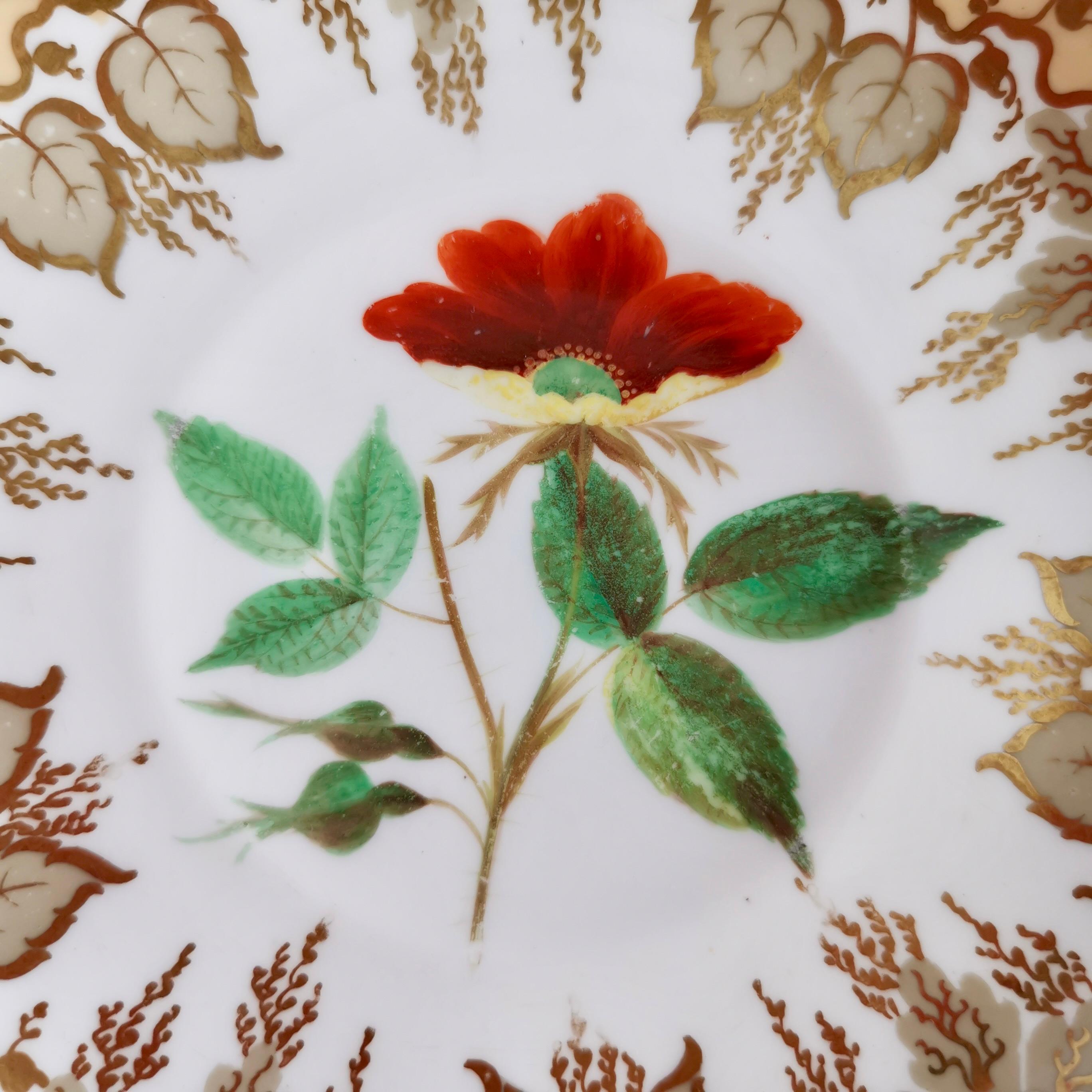 Trio de tasses à thé Samuel Alcock, beige avec fleurs peintes à la main, néo-rococo 1841 en vente 2