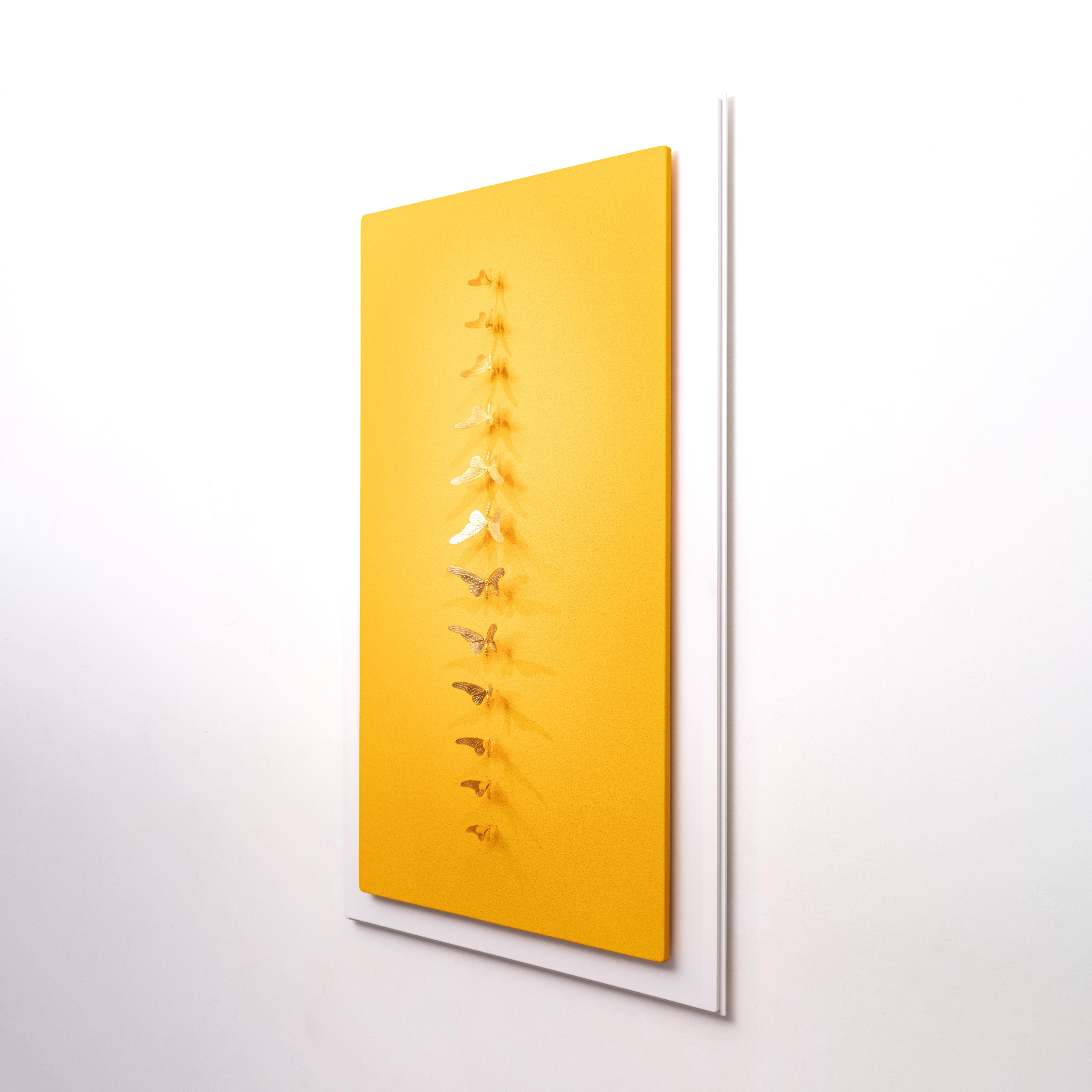Metamorphosis Redux Yellow
Pigments and gold butterflies on canvas and wood.

As a self-taught artist with a medical background in surgery, bio-engineering and design, he stretches the limits of technical as well as aesthetic potential, applying the