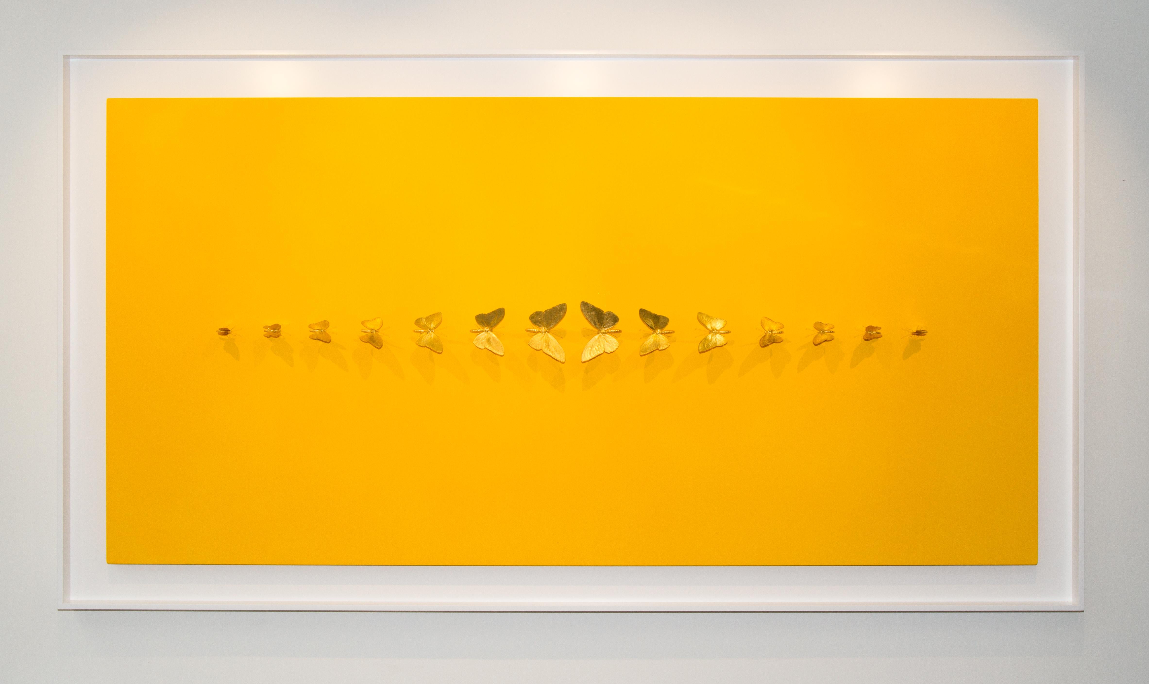 Metamorphosis Yellow - 21st Century, Contemporary Figurative, Golden Butterflies - Painting by Samuel Dejong
