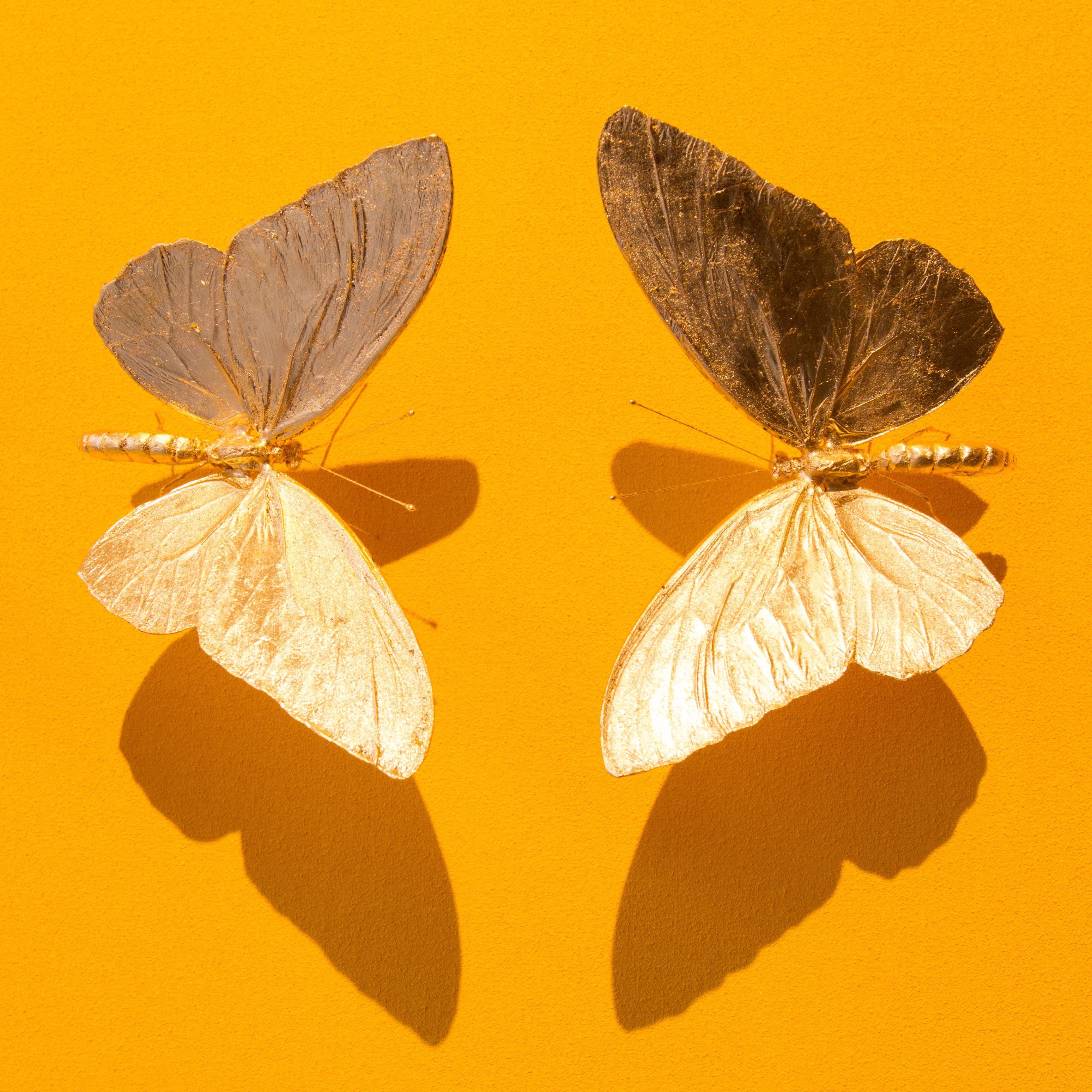 Metamorphosis Yellow - 21st Century, Contemporary Figurative, Golden Butterflies 1