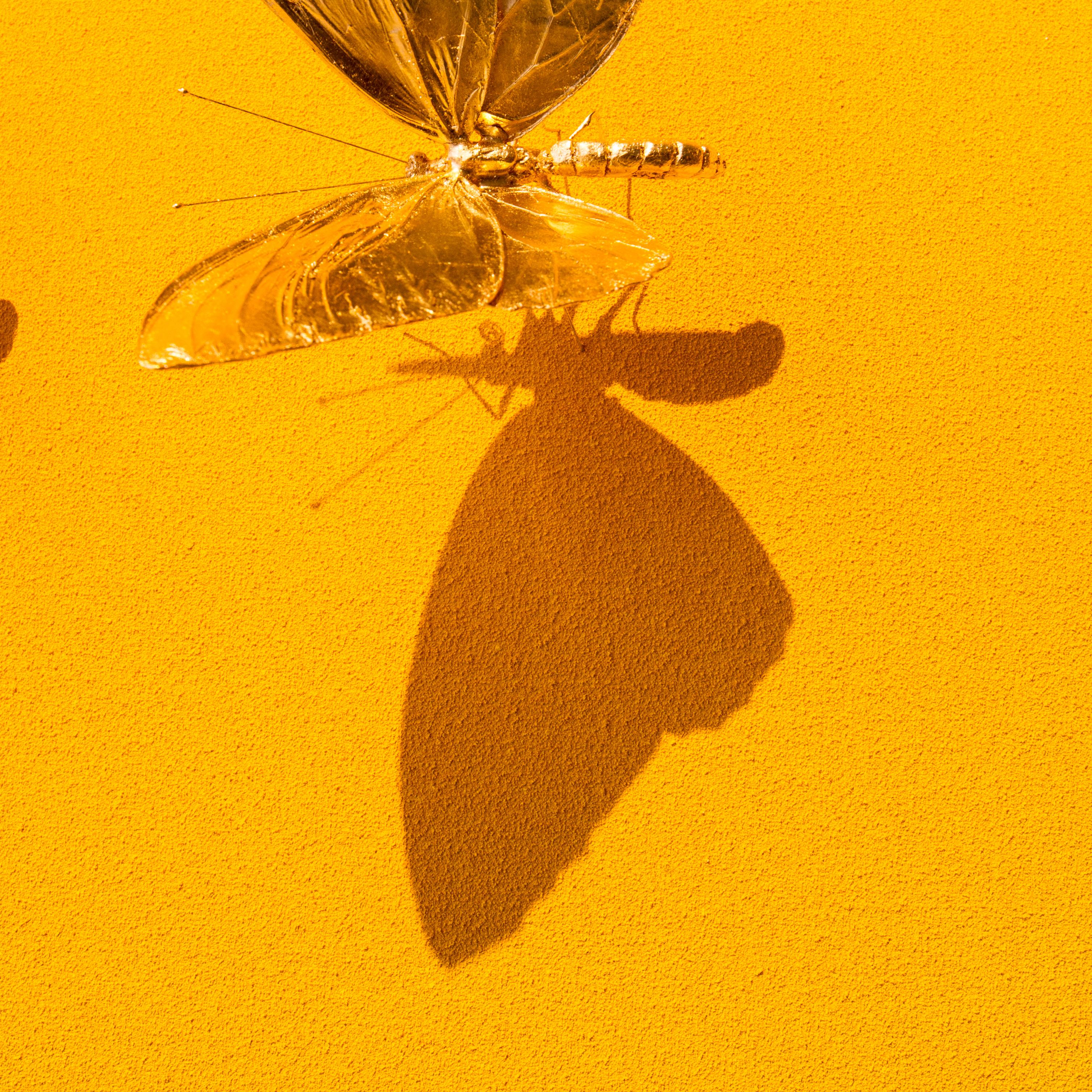 Metamorphosis Yellow - 21st Century, Contemporary Figurative, Golden Butterflies 2