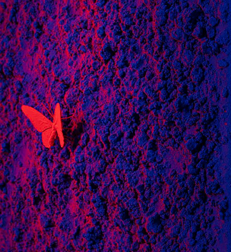 Vanish 01.05 Blue Red R - 21st Century, Contemporary, Figurative, Red Butterfly - Painting by Samuel Dejong