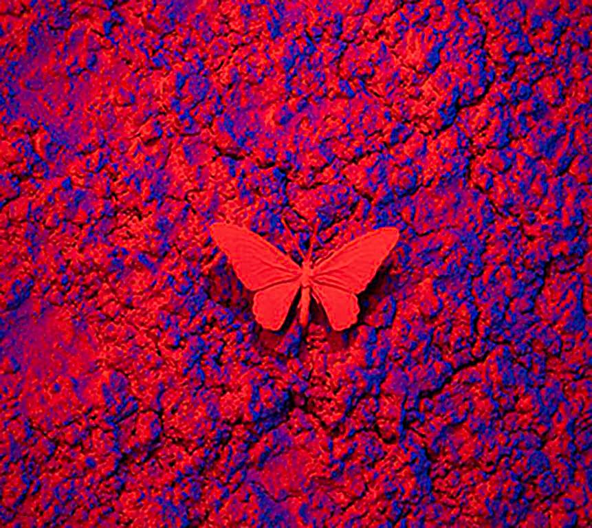 Vanish 01.05 Blue Red R - 21st Century, Contemporary, Figurative, Red Butterfly 2