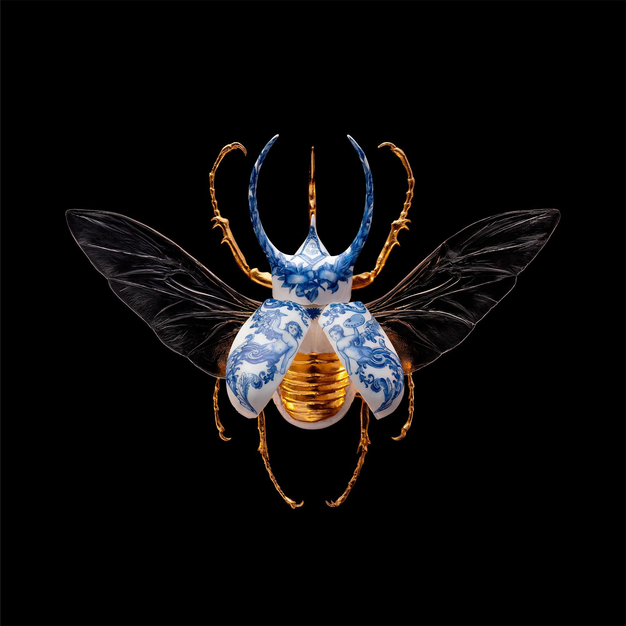 Samuel Dejong Animal Print - Atlas Beetle Open - 21st Century, Contemporary, Figurative, Print, Insect