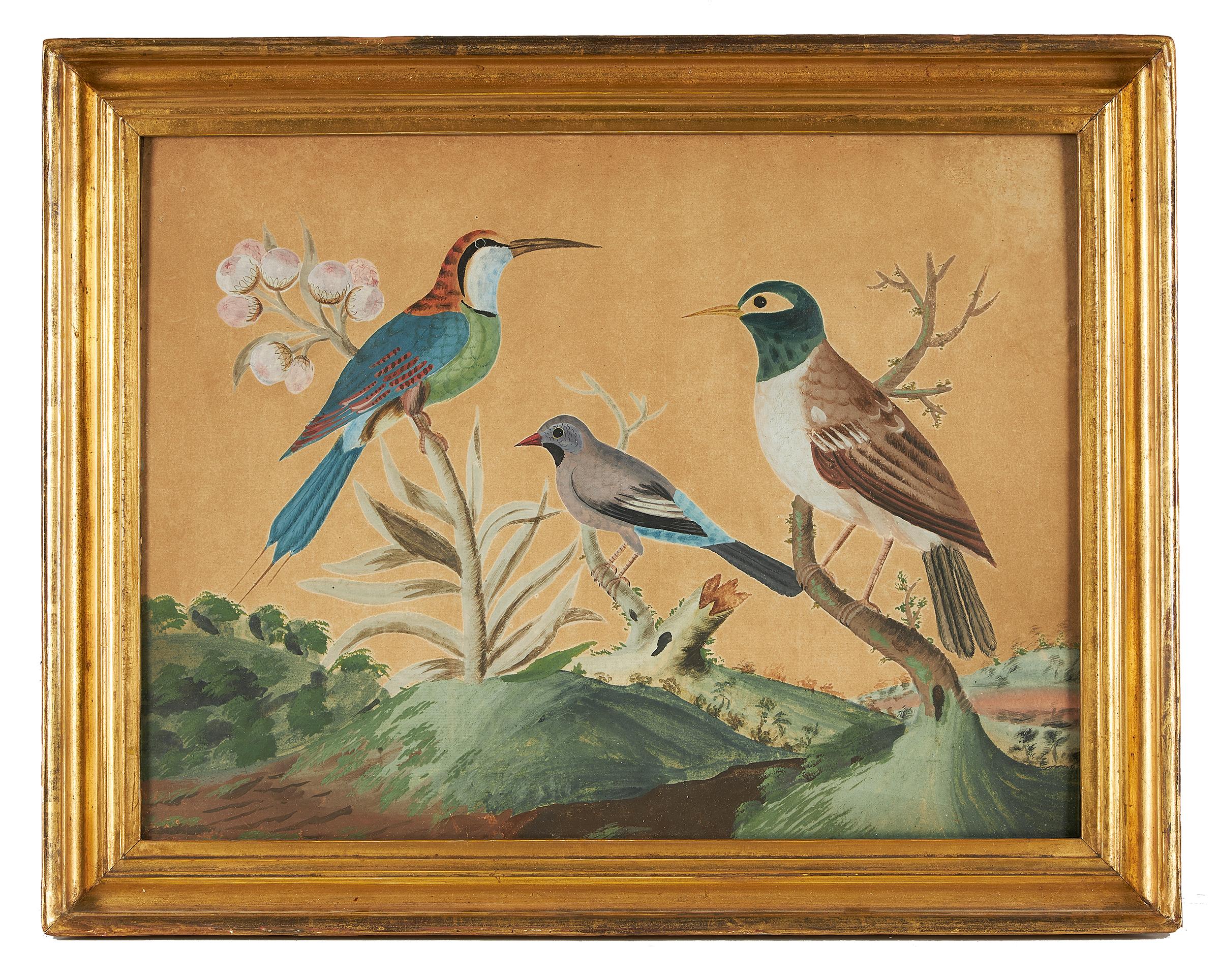 Samuel Dixon (Irish, 1669-1769), circa 1775, 'A green-Indian bee-eater, Brazilian Finch and a black and white Indian Starling', from the basso relievo set 'Foreign and Domestick Birds', a tergo with fragmented labelled dedication to 'the Lady