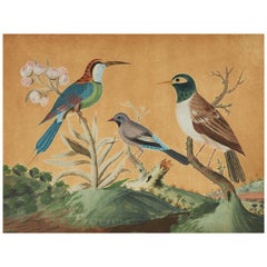 18ème siècle Samuel Dixon Gouache de 'Oiseaux étrangers et domestiques'