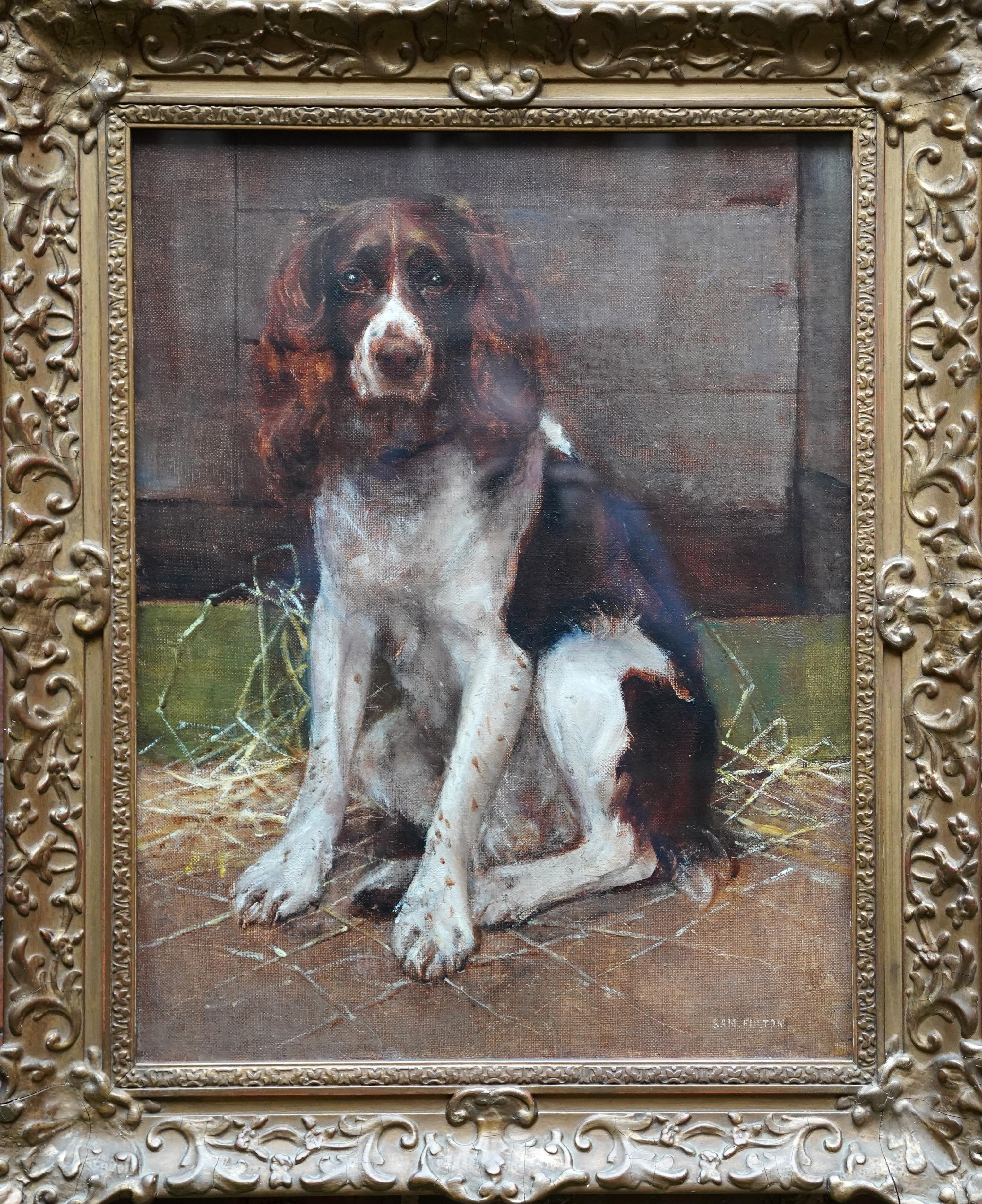 Portrait d'un Springer Spaniel - peinture à l'huile animalière victorienne britannique art canin en vente 7