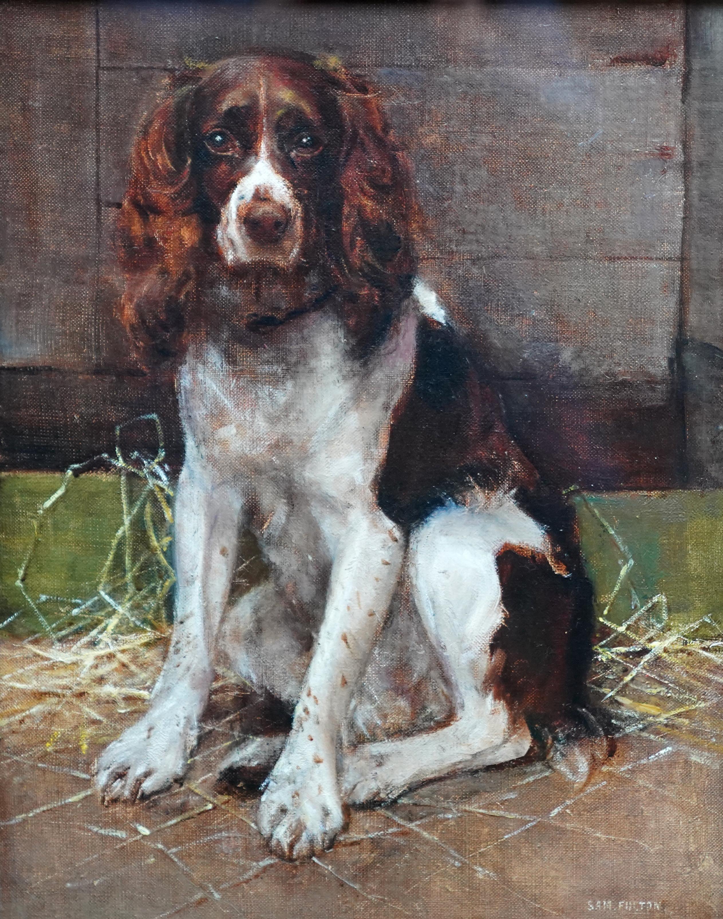 Portrait d'un Springer Spaniel - peinture à l'huile animalière victorienne britannique art canin - Painting de Samuel Fulton
