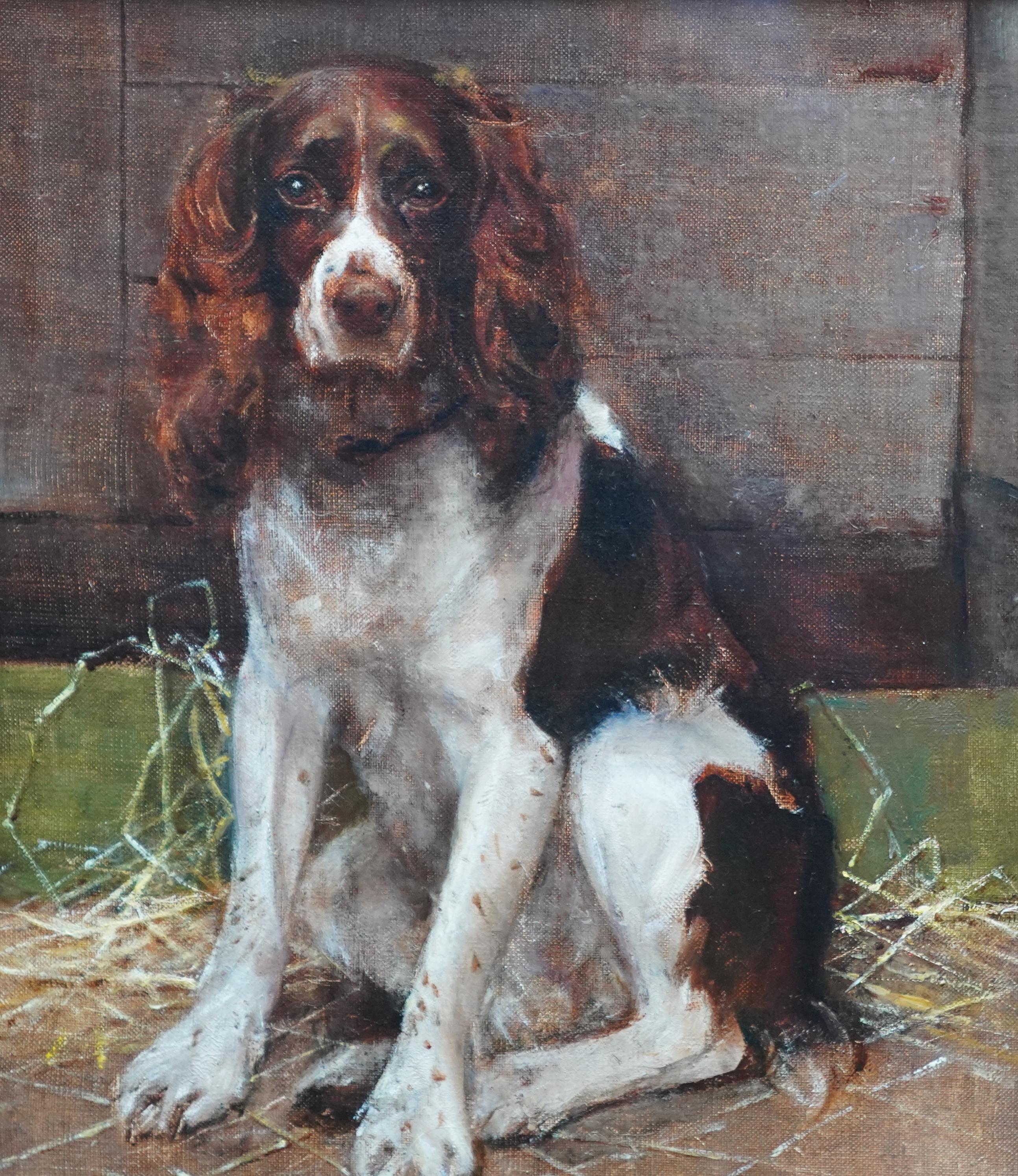 Portrait d'un Springer Spaniel - peinture à l'huile animalière victorienne britannique art canin - Victorien Painting par Samuel Fulton
