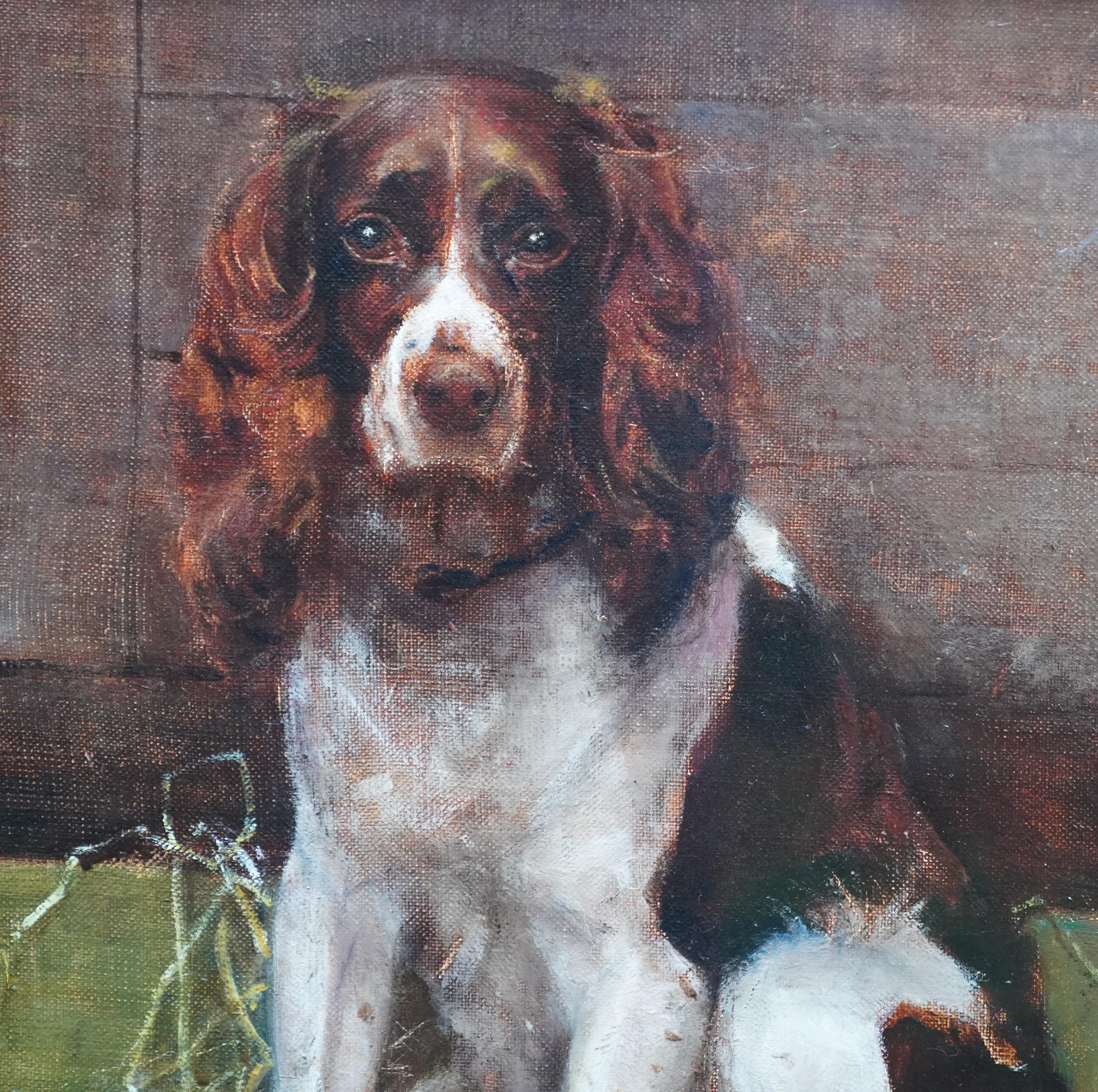 Portrait d'un Springer Spaniel - peinture à l'huile animalière victorienne britannique art canin - Gris Animal Painting par Samuel Fulton
