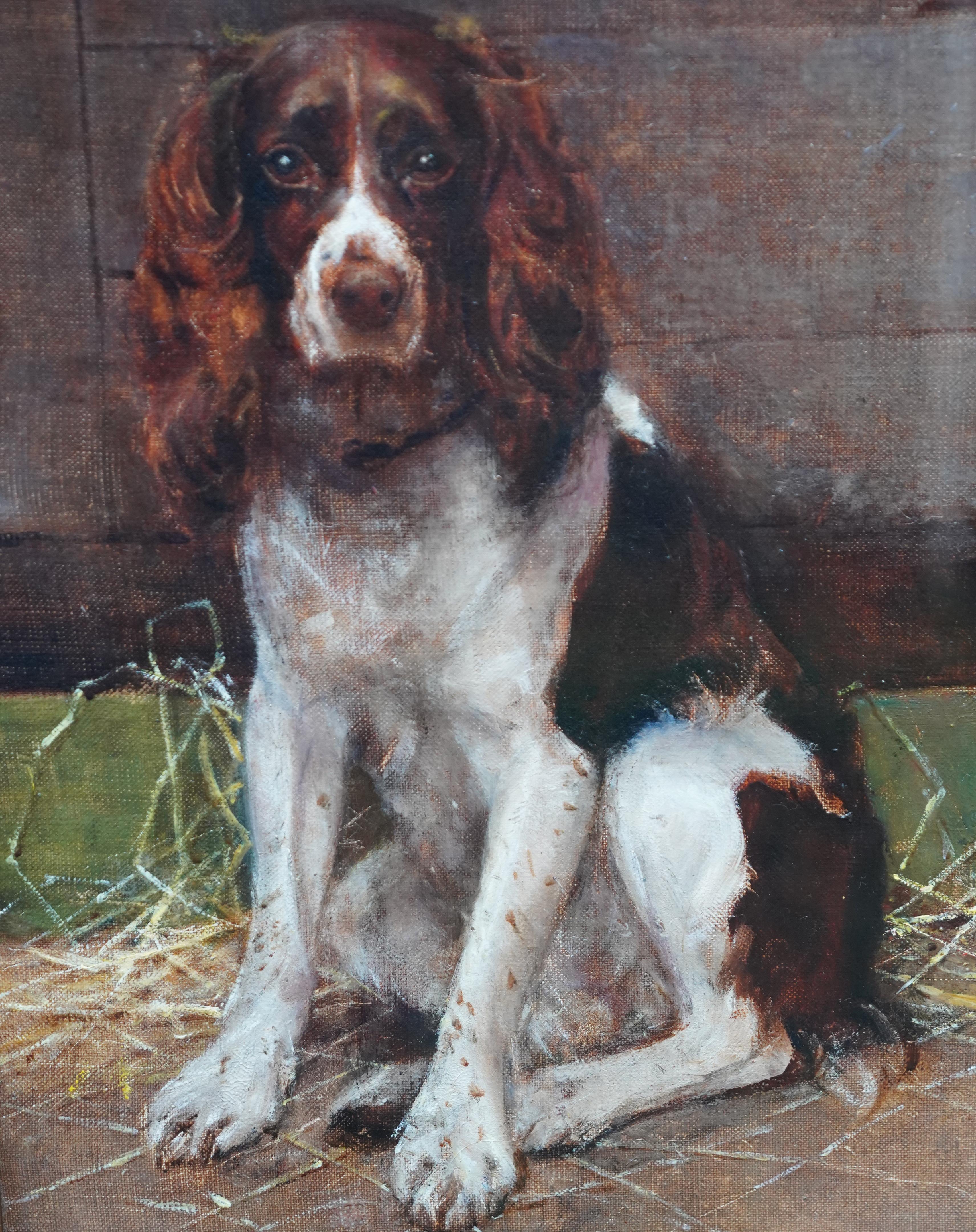 Ce charmant portrait de chien de l'époque victorienne britannique est l'œuvre du célèbre artiste animalier Samuel Fulton. Peinte vers 1900, la composition représente un épagneul de Springer assis sur de la paille à l'extérieur, avec un mur derrière