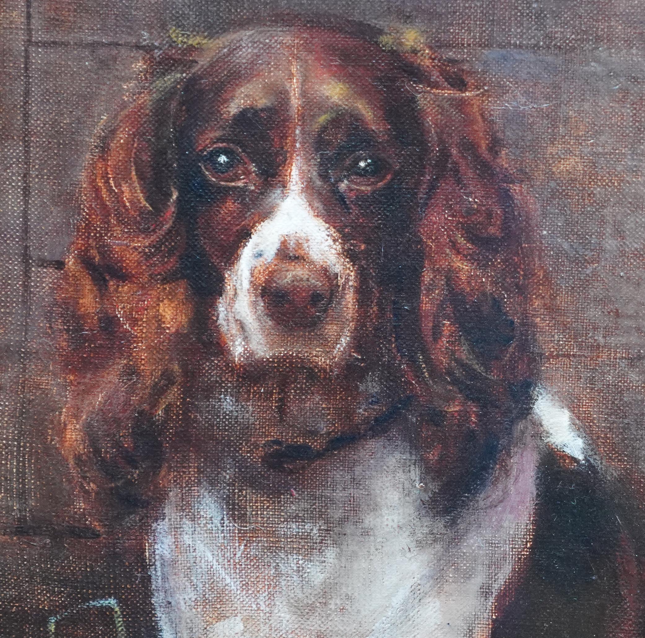 Portrait d'un Springer Spaniel - peinture à l'huile animalière victorienne britannique art canin en vente 1