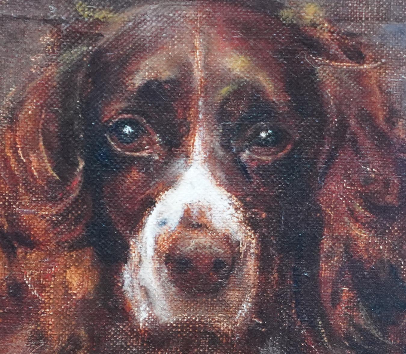 Portrait d'un Springer Spaniel - peinture à l'huile animalière victorienne britannique art canin en vente 2