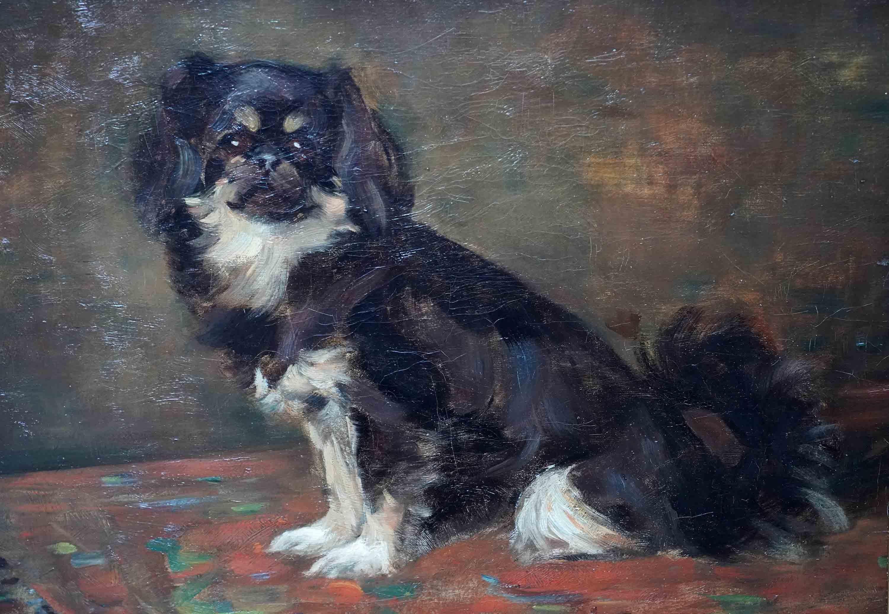 Portrait de Dodo, chien pékinois, portrait à l'huile d'art écossais des années 1920 - Réalisme Painting par Samuel Fulton