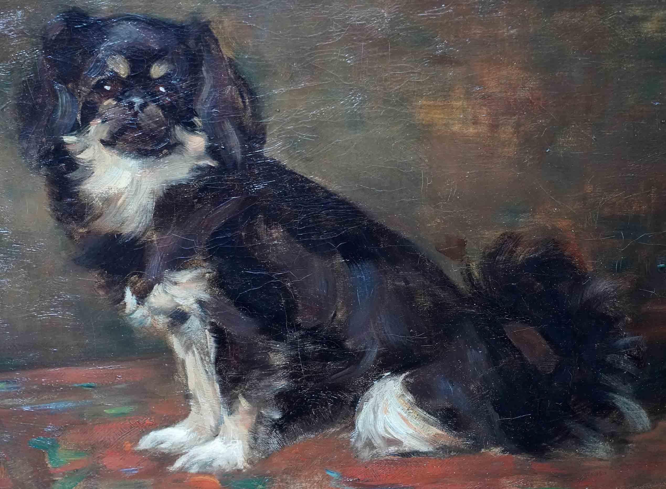 Ce portrait absolument charmant d'un chien pékinois appelé Dodo est attribué à l'artiste écossais très apprécié Samuel Fulton. Célèbre en tant qu'artiste animalier et surtout peintre de chiens, cet ouvrage est sans doute l'un de ses meilleurs si