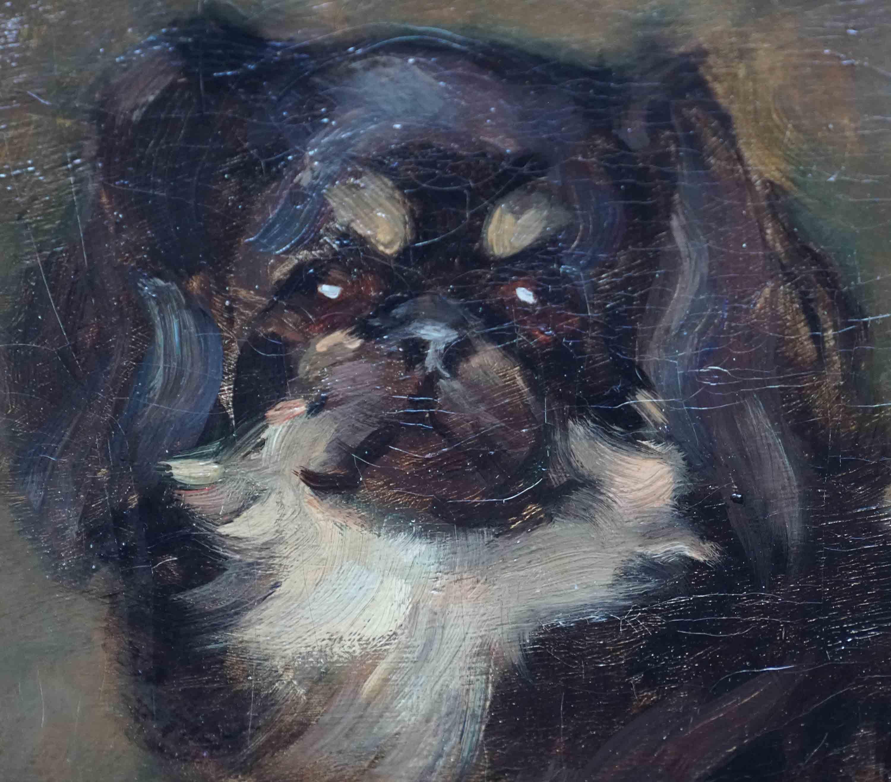 Portrait de Dodo, chien pékinois, portrait à l'huile d'art écossais des années 1920 en vente 2