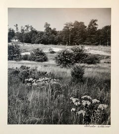 Vintage Silver Gelatin Signed Photograph Samuel Gottscho Garden Flowers Photo NY