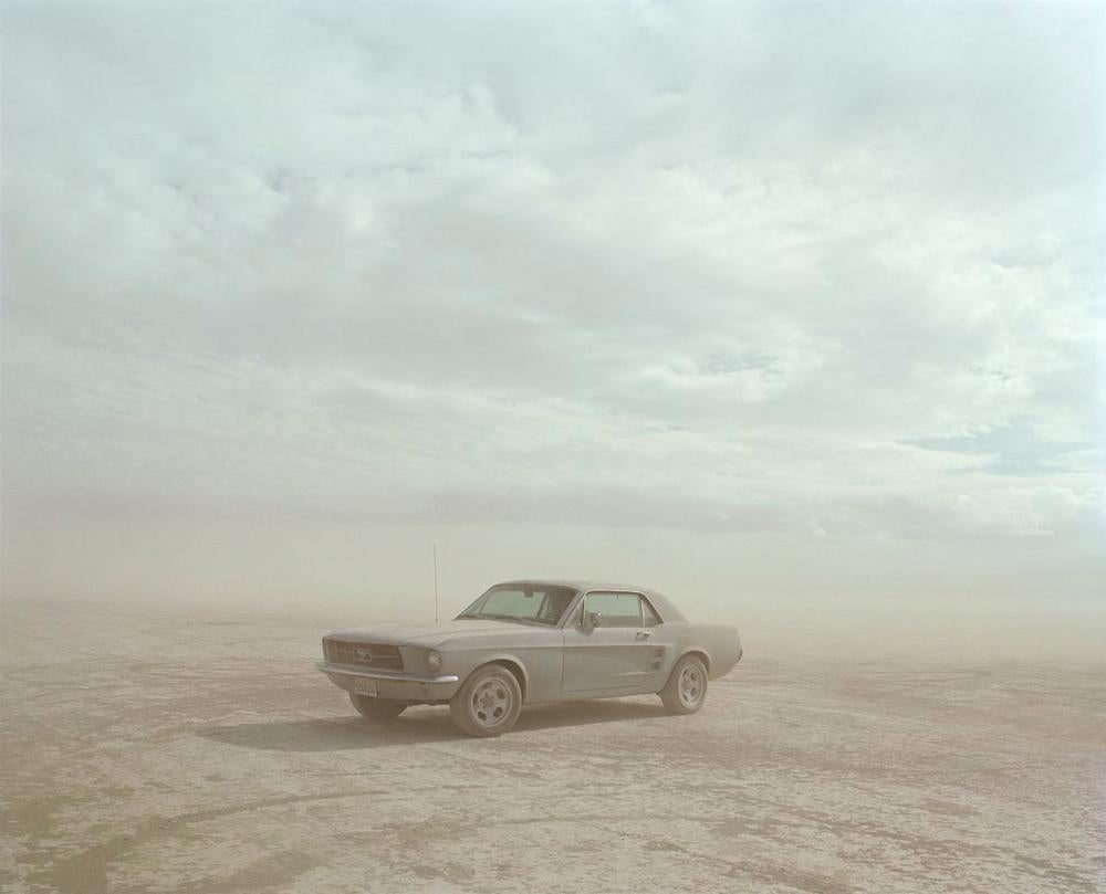 Samuel Hicks Landscape Photograph - Mustangs, El Mirage