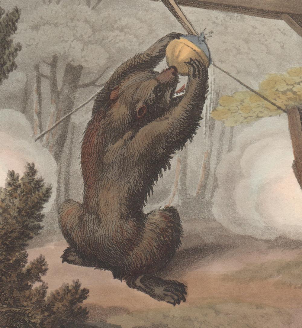 A Trap to Shoot the Bear, aquatint engraving hunting print, 1813 - Print by Samuel Howitt