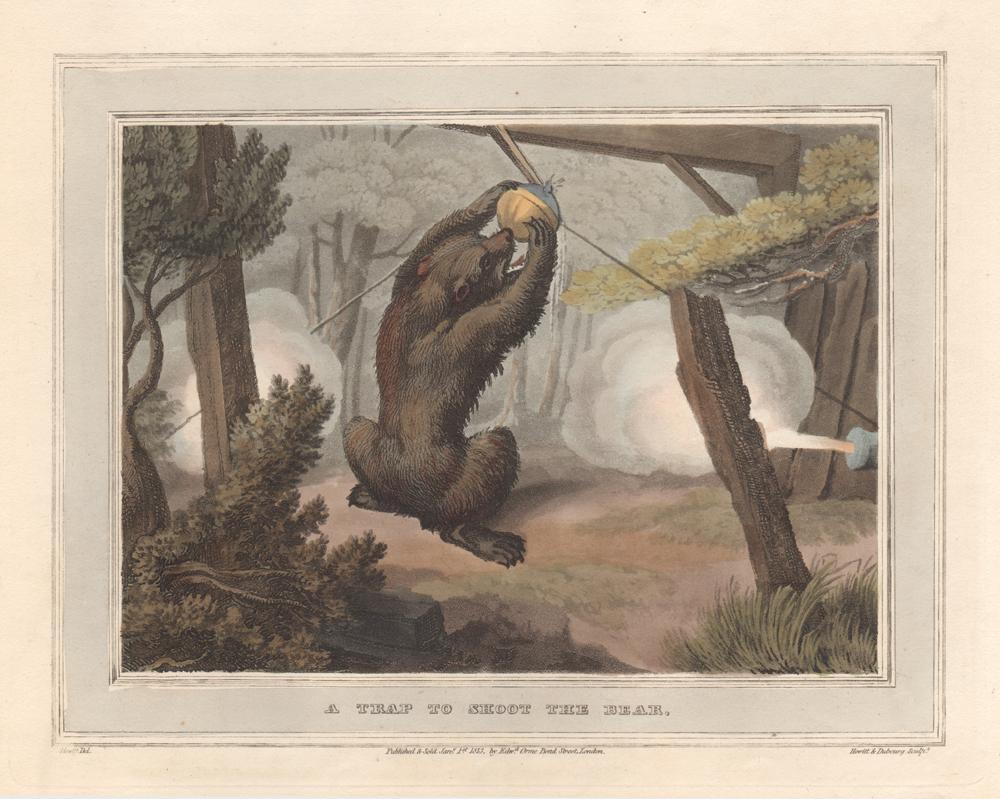 Samuel Howitt Animal Print - A Trap to Shoot the Bear, aquatint engraving hunting print, 1813