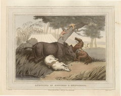 19th Century Animal Prints