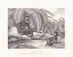 Ape and Fox, antique animal fable etching by Samuel Howitt