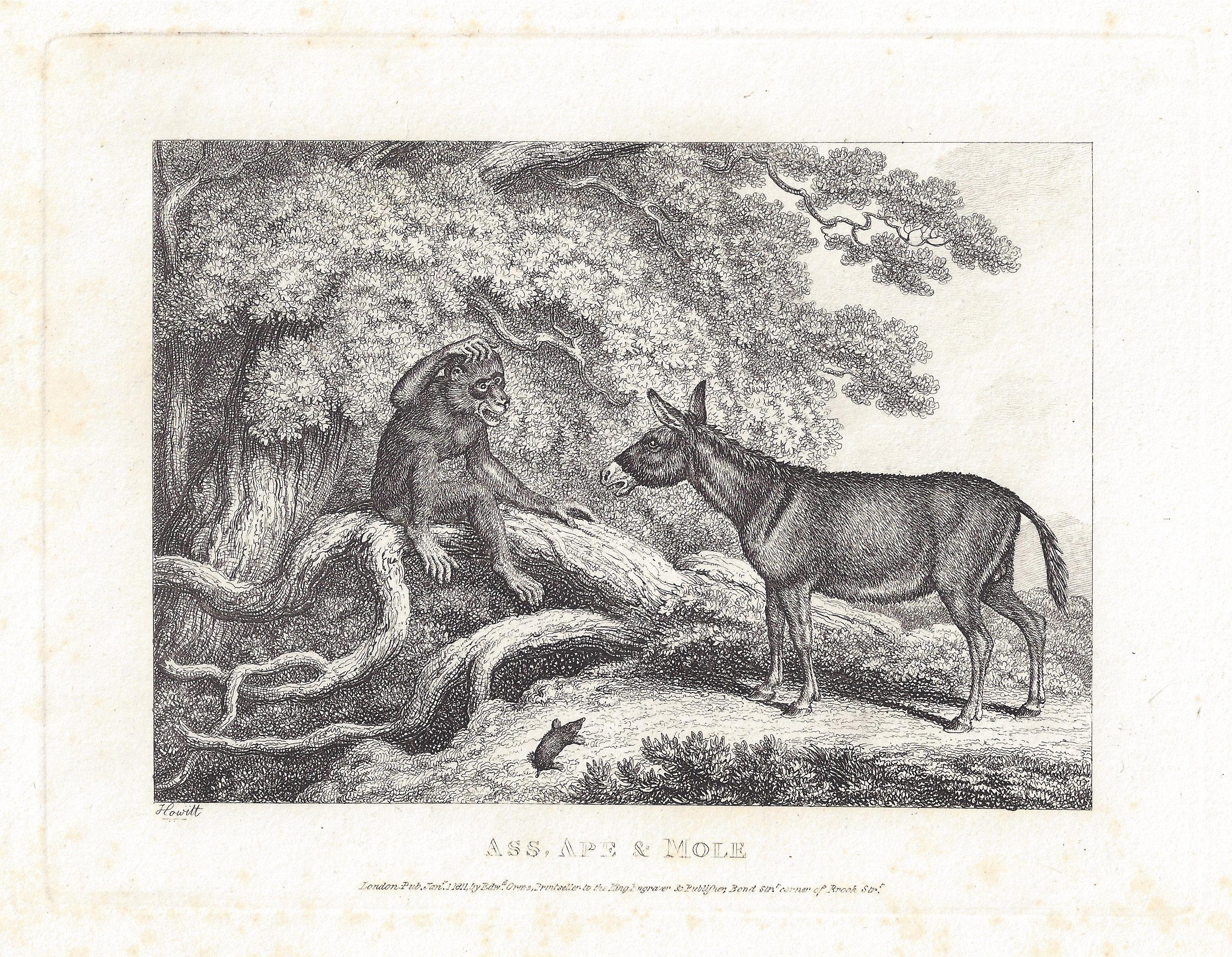Ass, Ape & Mole, gravure ancienne de fable animal de Samuel Howitt