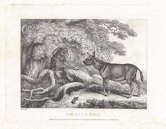 Ass, Ape & Mole, antique animal fable etching by Samuel Howitt