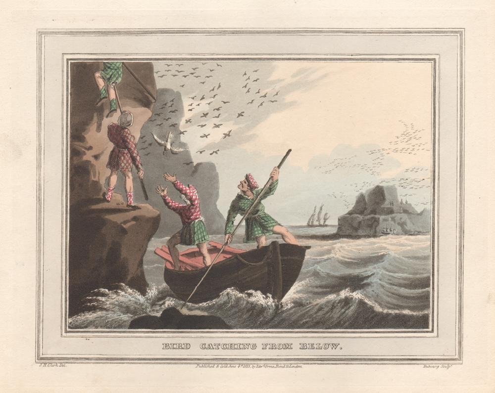 Bird Catching from Below, Scotland, aquatint engraving field sport print, 1813