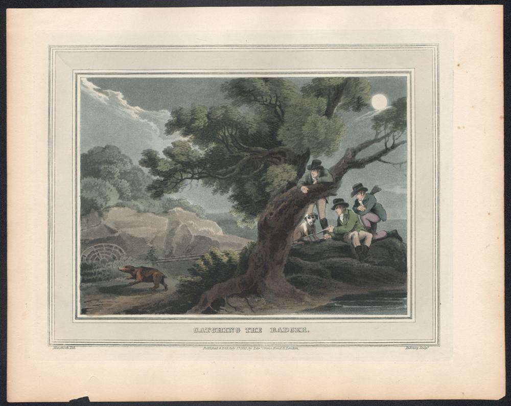 Catching the Badger, aquatint engraving field sport print, 1813 - Print by Samuel Howitt