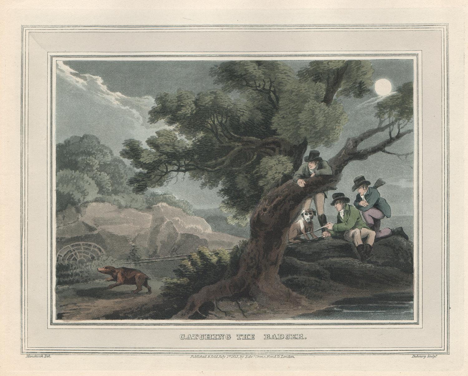 Catching the Badger, aquatint engraving field sport print, 1813