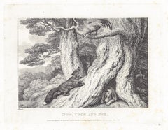 Dog, cock and fox, antique animal fable etching by Samuel Howitt