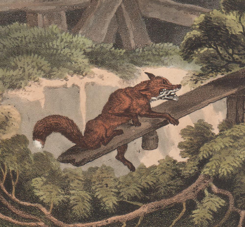 German Fox Trap, aquatint engraving field sport hunting print, 1813 - Print by Samuel Howitt