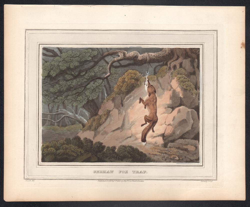 German Fox Trap, aquatint engraving field sport hunting print, 1813 - Naturalistic Print by Samuel Howitt
