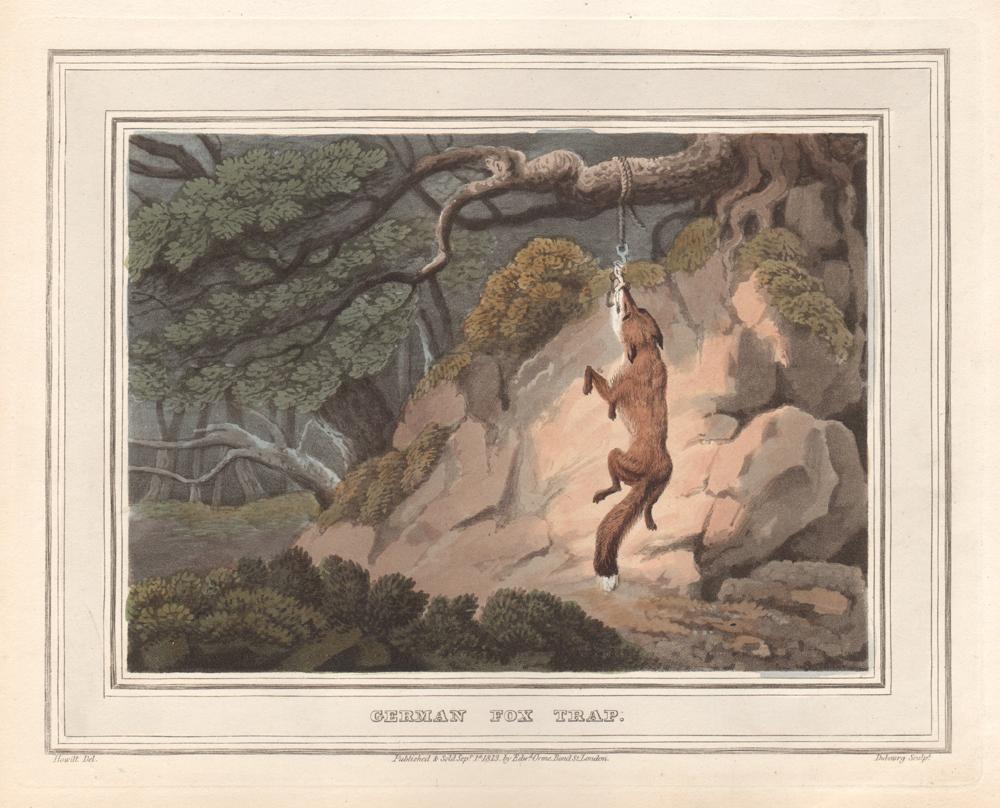 Samuel Howitt Animal Print - German Fox Trap, aquatint engraving field sport hunting print, 1813