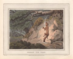 Plateau en forme de renard allemand, gravure  l'aquatinte d'un champ de chasse sportif, 1813