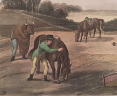 German Manner of Netting Partridges, aquatint engraving hunting print, 1813