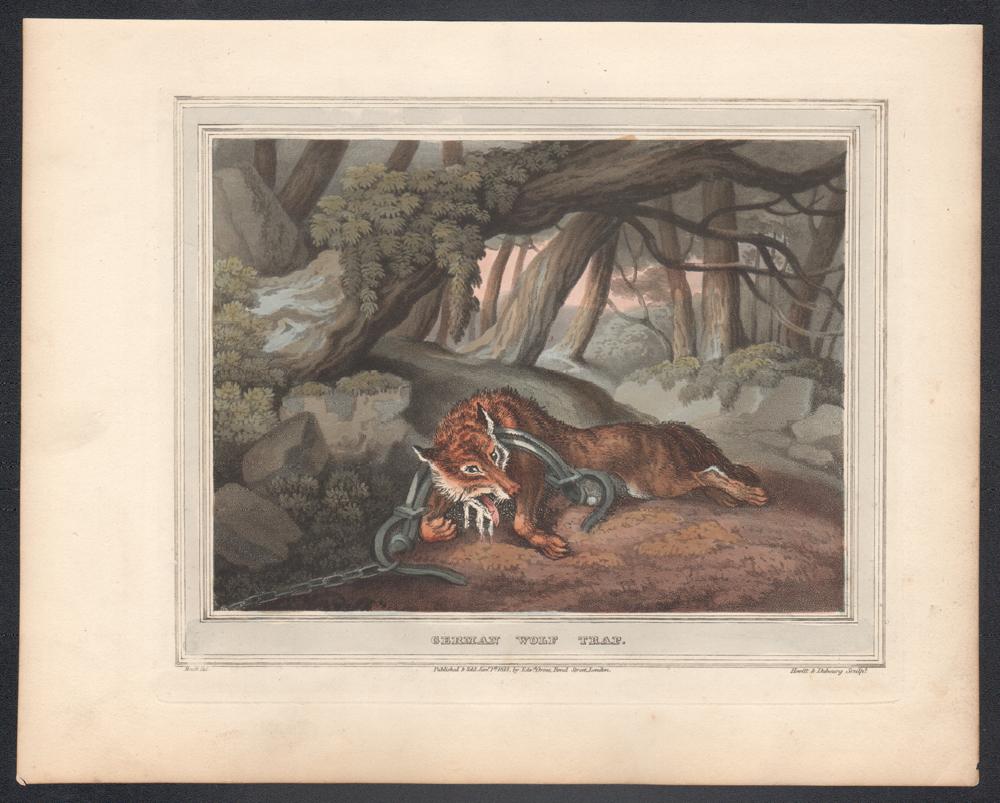 German Wolf Trap, aquatint engraving field sport hunting print, 1813 - Print by Samuel Howitt