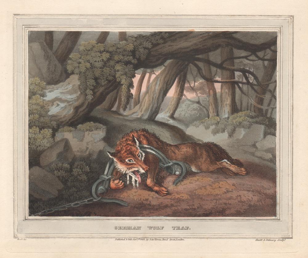 Samuel Howitt Animal Print - German Wolf Trap, aquatint engraving field sport hunting print, 1813