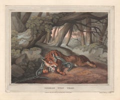 German Wolf Trap, aquatint engraving field sport hunting print, 1813