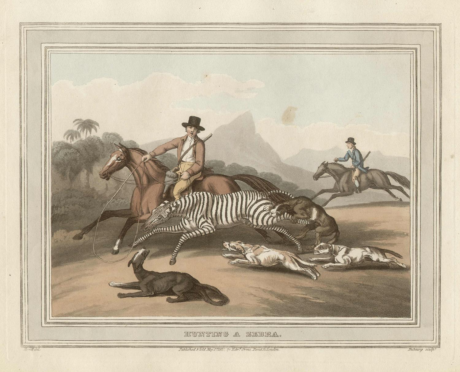 Samuel Howitt Animal Print - Hunting a Zebra, African hunting engraving print, 1813