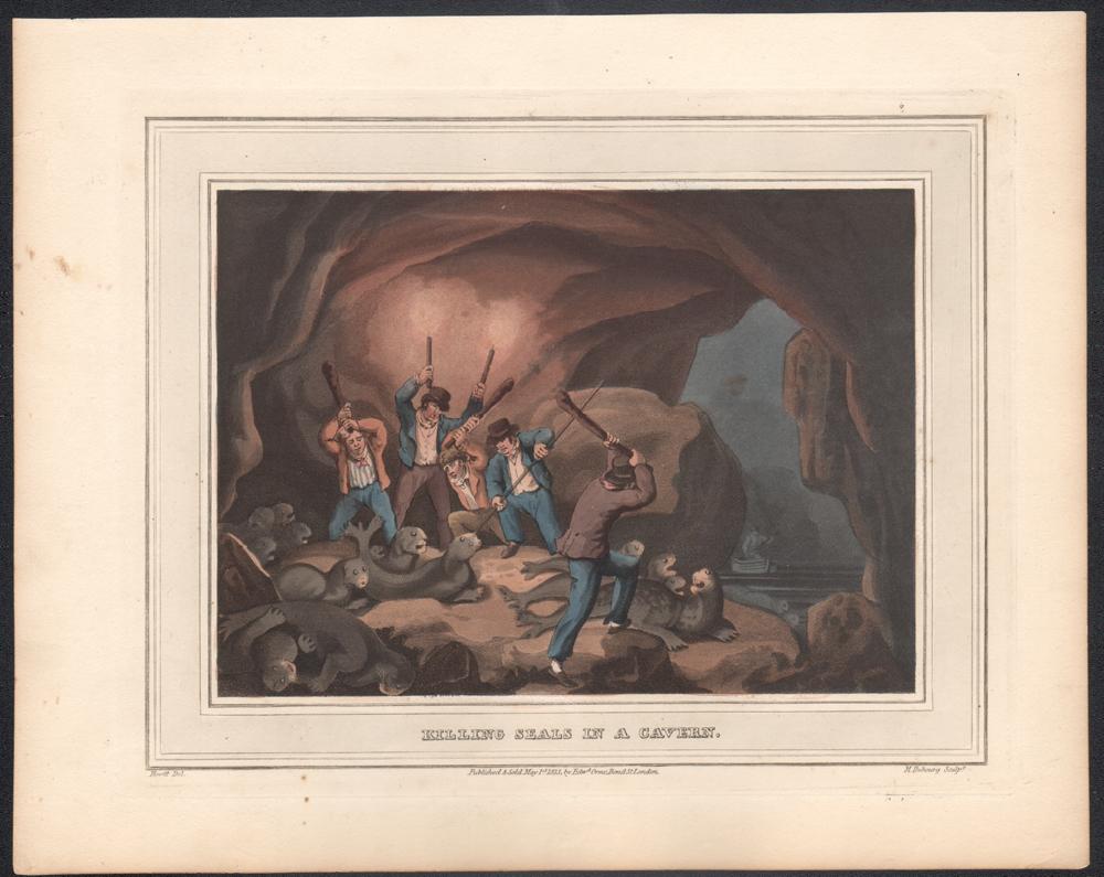 Killing Seals in a Cavern, Summer, aquatint engraving hunting print, 1813 - Naturalistic Print by Samuel Howitt