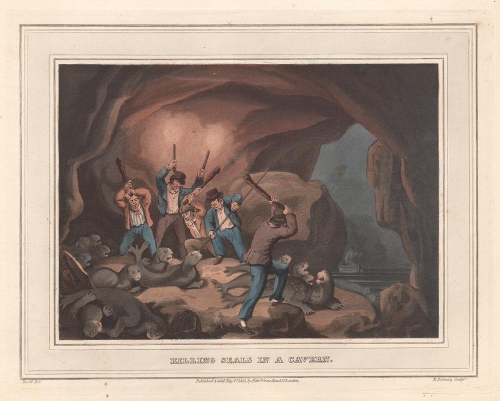 Samuel Howitt Animal Print - Killing Seals in a Cavern, Summer, aquatint engraving hunting print, 1813