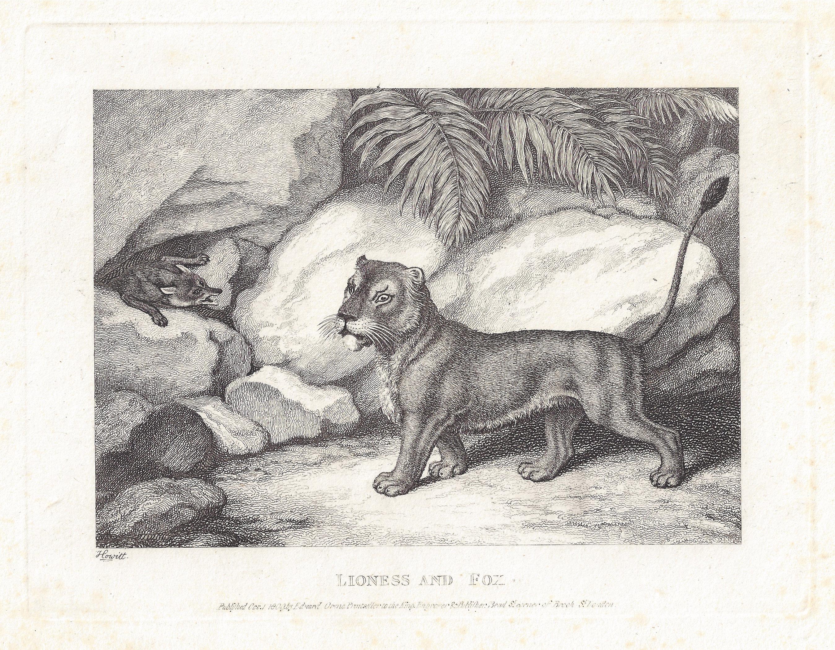 Lioness and Fox, antique animal fable etching by Samuel Howitt