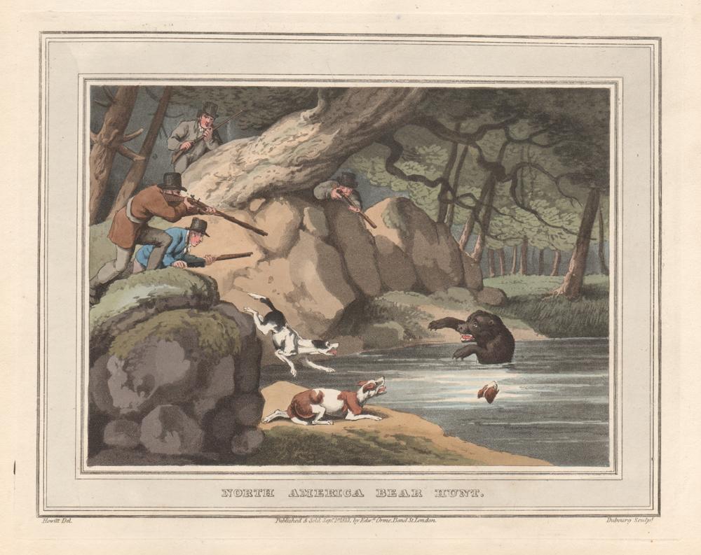 Samuel Howitt Animal Print - North America Bear Hunt, aquatint engraving field sport print, 1813