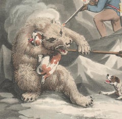 Seamen Killing a Polar Bear, aquatint engraving field sport hunting print, 1813